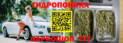 гидропоника Нягань