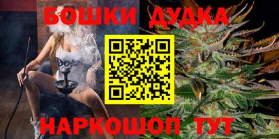 сатива Обь