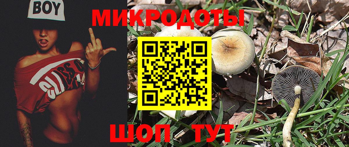 Галлюциногенные грибы мицелий  Вход с VPN  Сызрань 