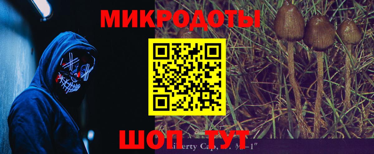 Псилоцибиновые грибы мицелий Сызрань
